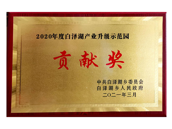 白泽湖乡人民政府授予我司白泽湖产业升级示范园贡献奖